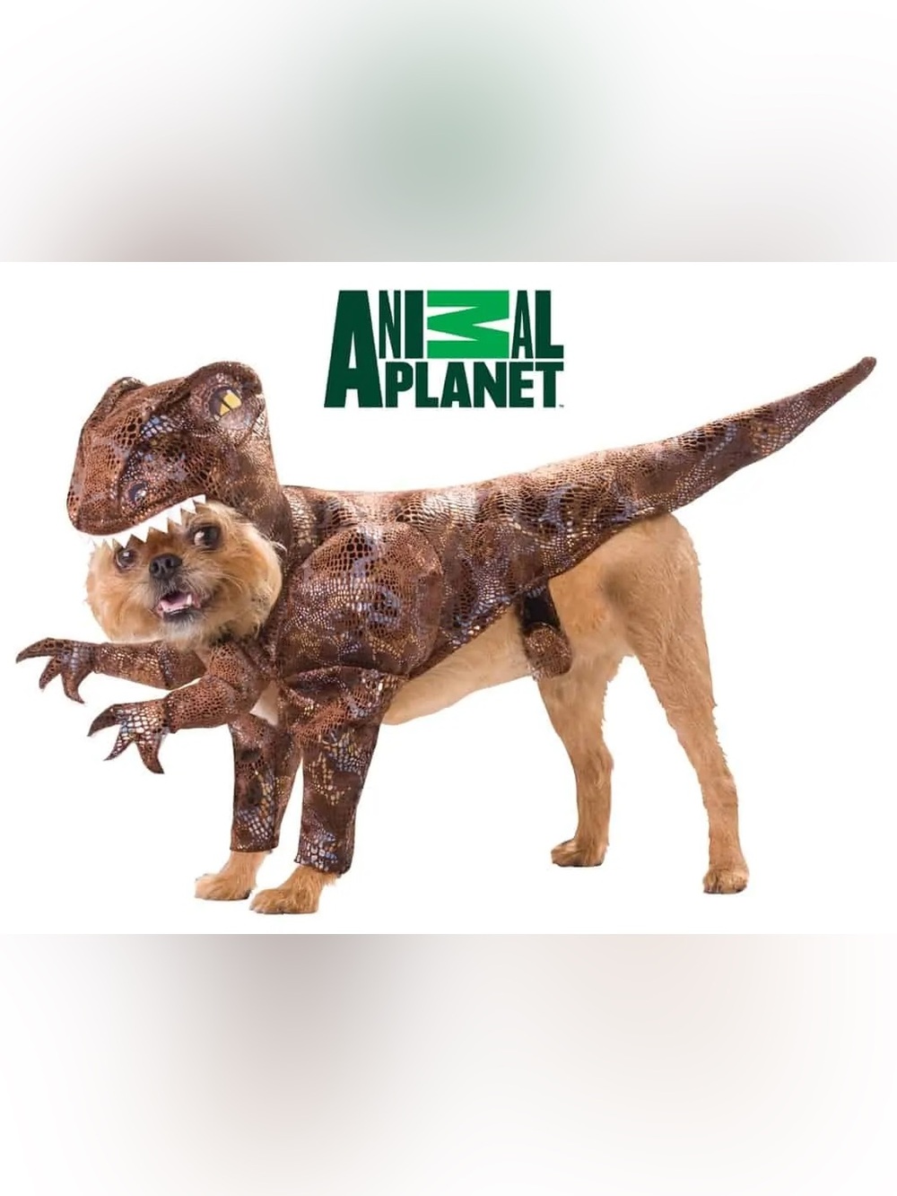 Animal Planet Velociraptor Pet Costume Size Small
